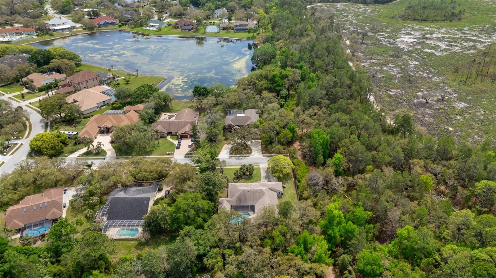 6475 LAUREL OAK DR, SPRING HILL, FL, 34607