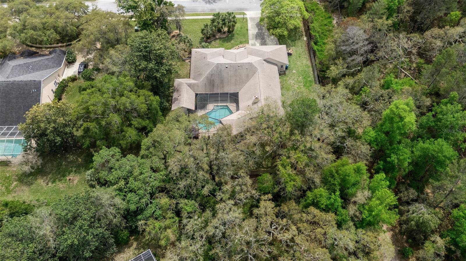 6475 LAUREL OAK DR, SPRING HILL, FL, 34607