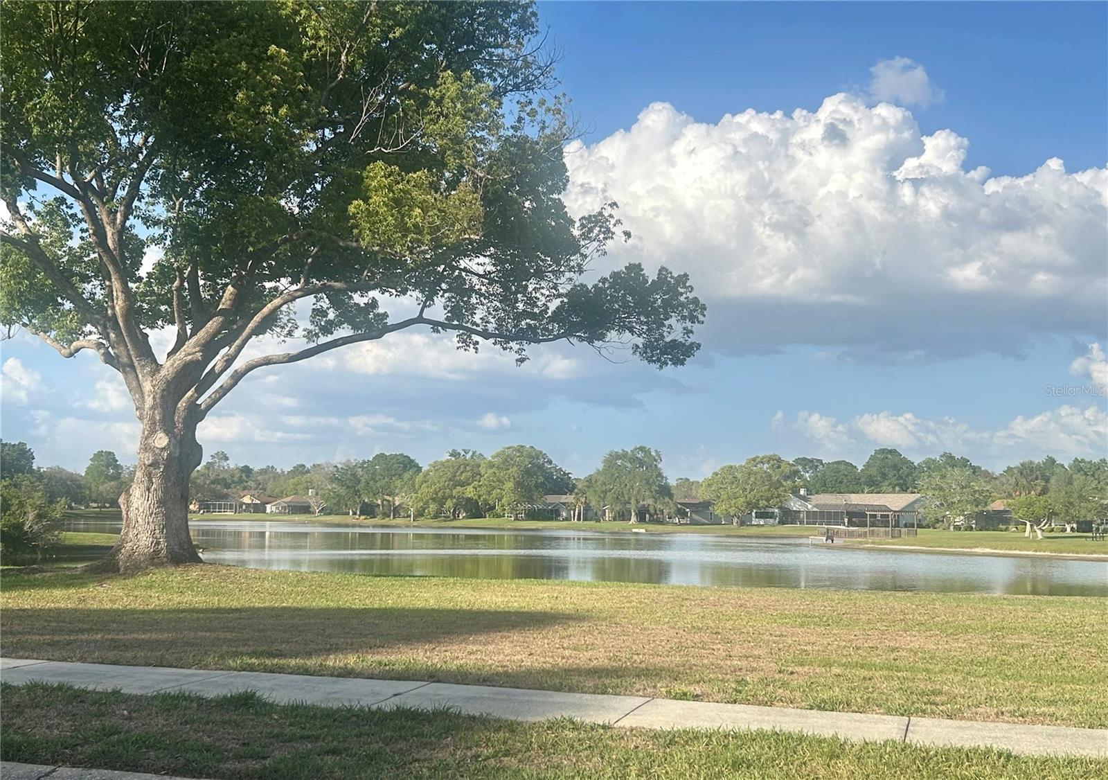 6475 LAUREL OAK DR, SPRING HILL, FL, 34607
