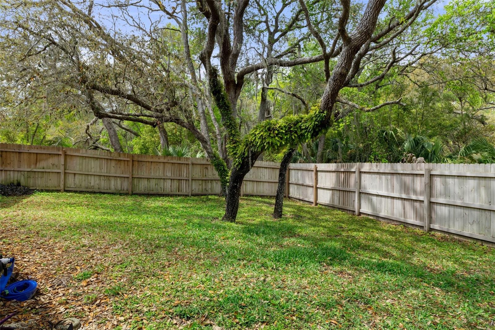 6475 LAUREL OAK DR, SPRING HILL, FL, 34607