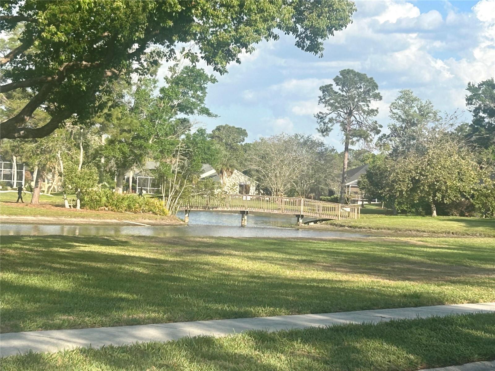 6475 LAUREL OAK DR, SPRING HILL, FL, 34607