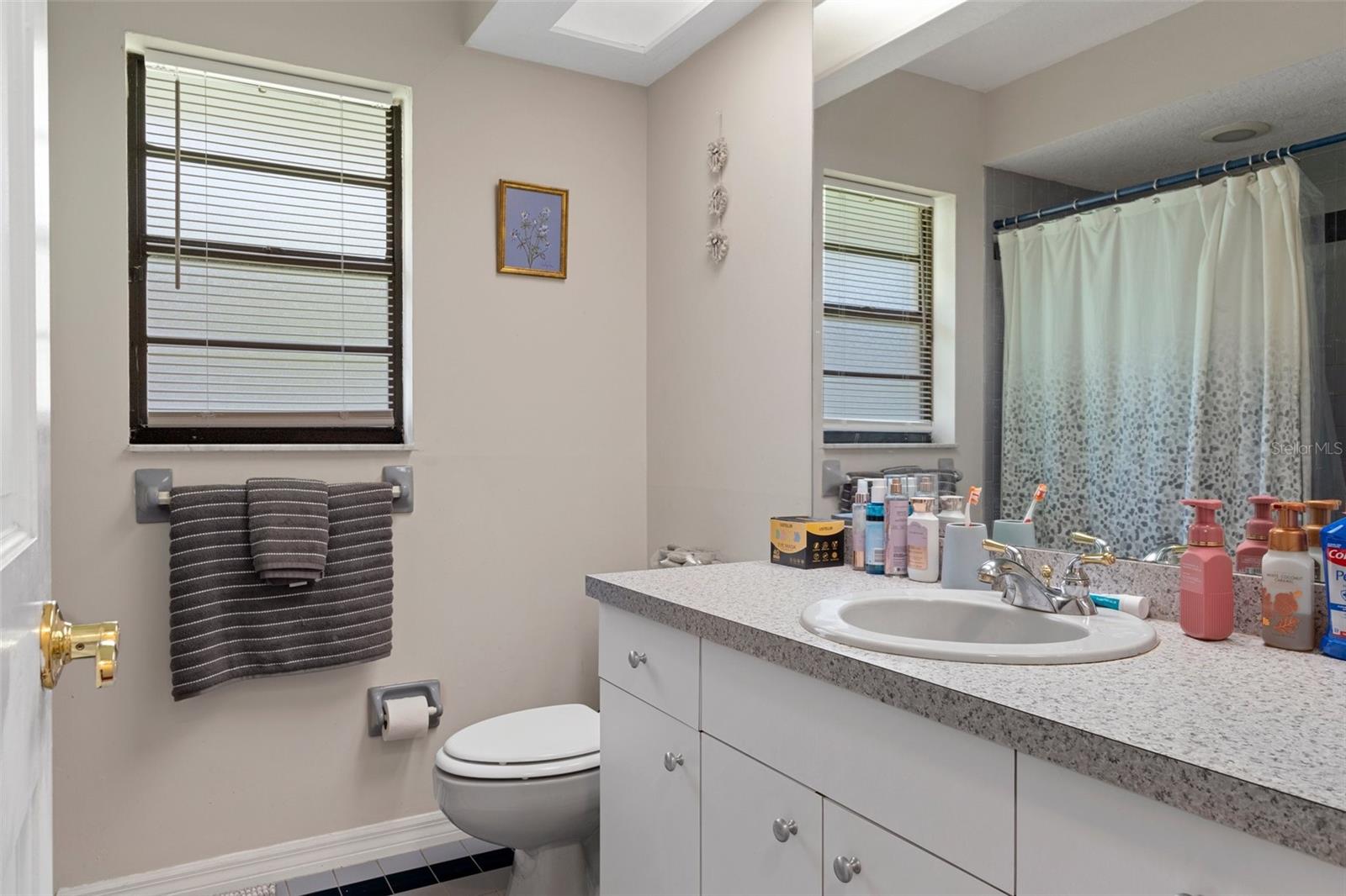 6475 LAUREL OAK DR, SPRING HILL, FL, 34607
