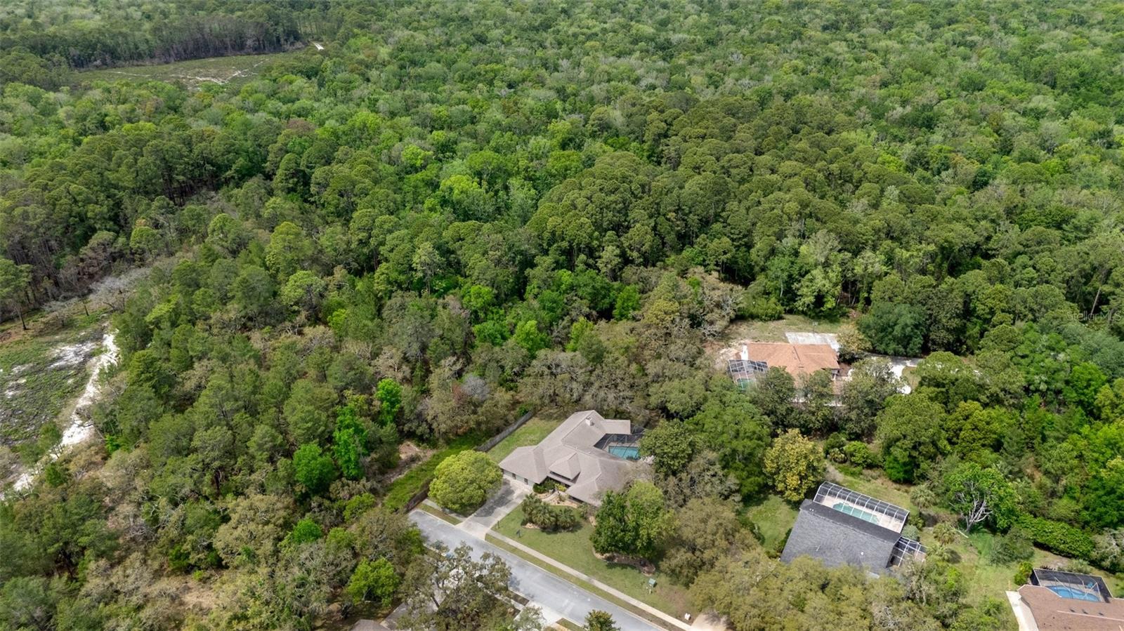 6475 LAUREL OAK DR, SPRING HILL, FL, 34607