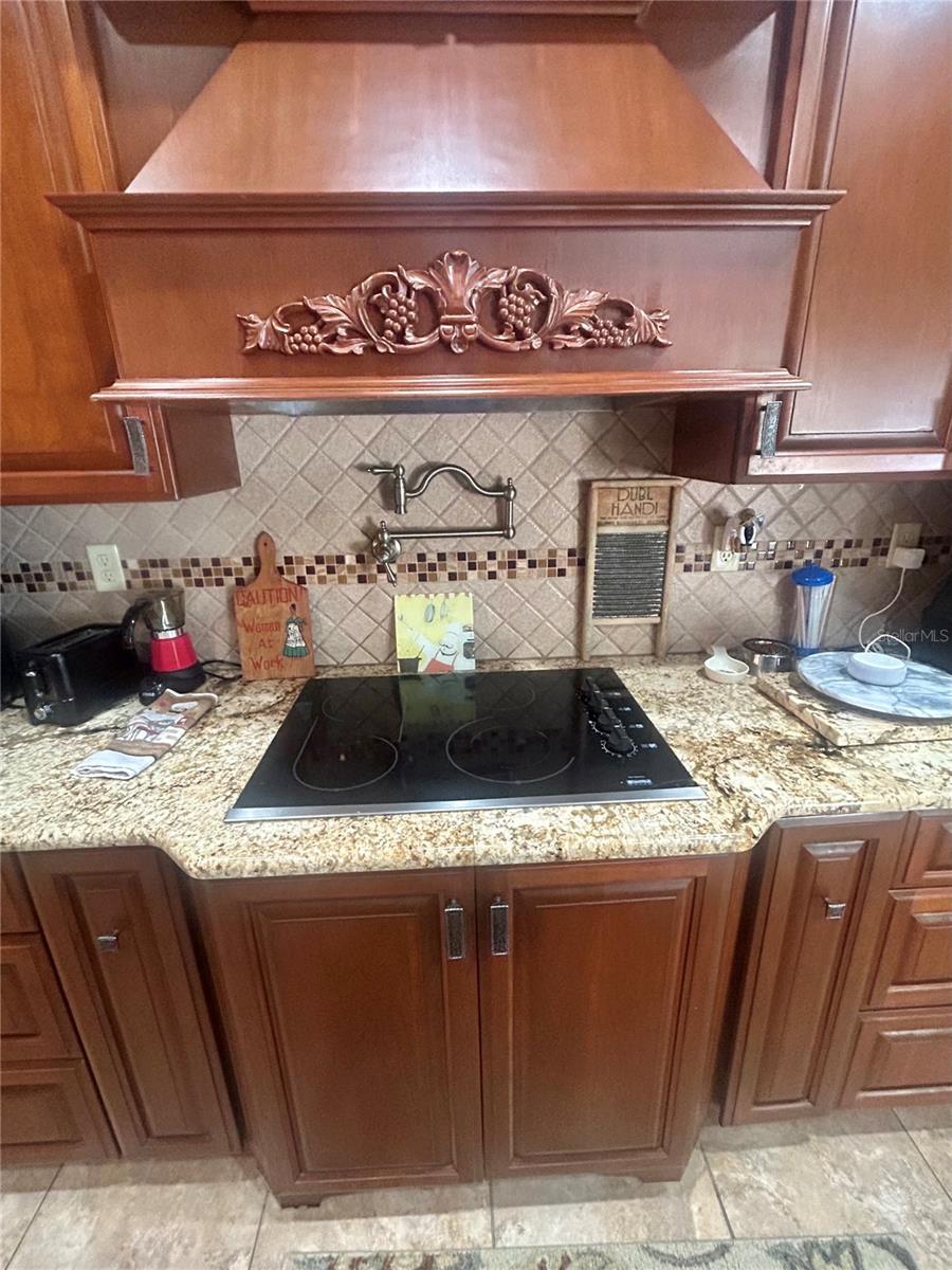 6475 LAUREL OAK DR, SPRING HILL, FL, 34607