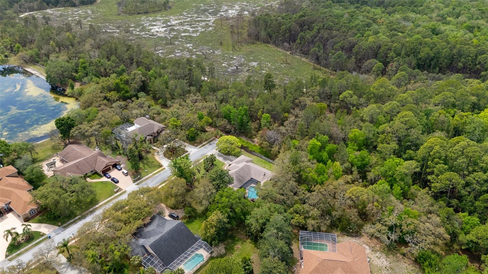6475 LAUREL OAK DR, SPRING HILL, FL, 34607