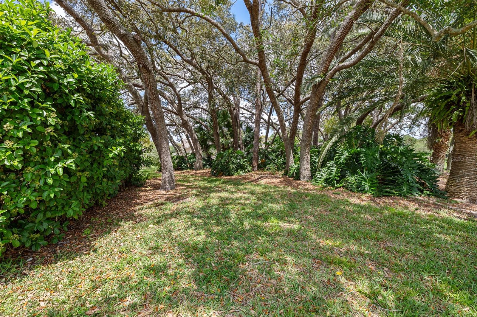 2436 DEER TRAIL LN, SPRING HILL, FL, 34606