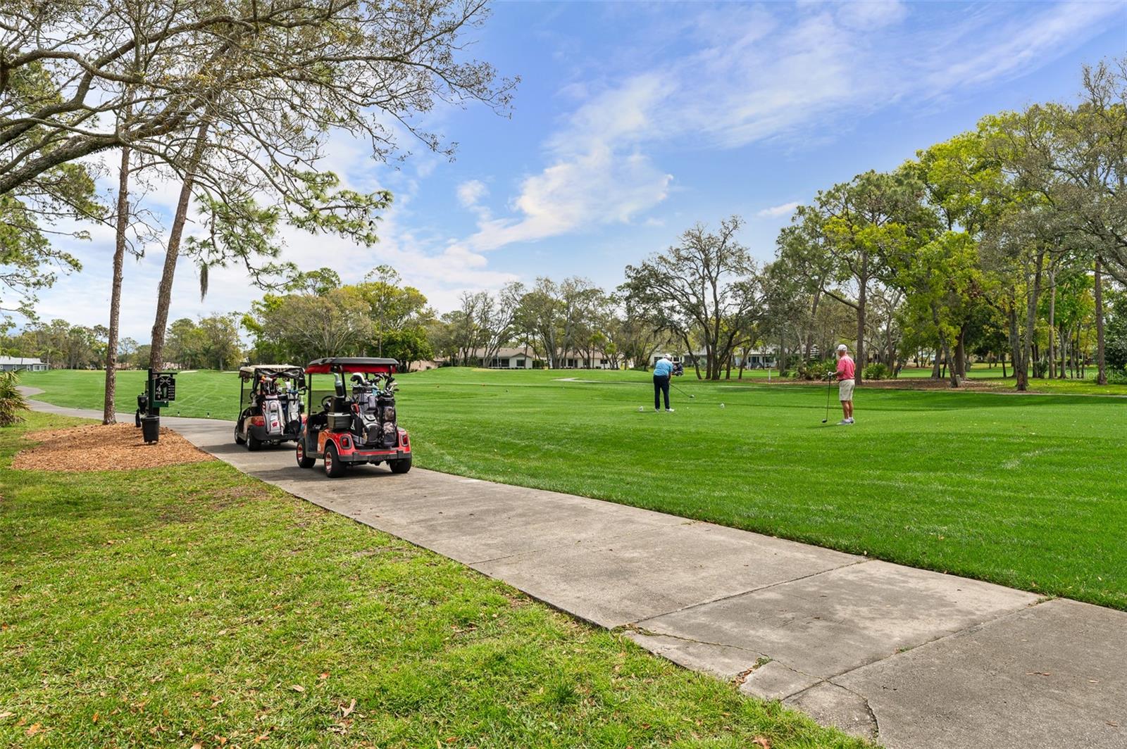 2436 DEER TRAIL LN, SPRING HILL, FL, 34606