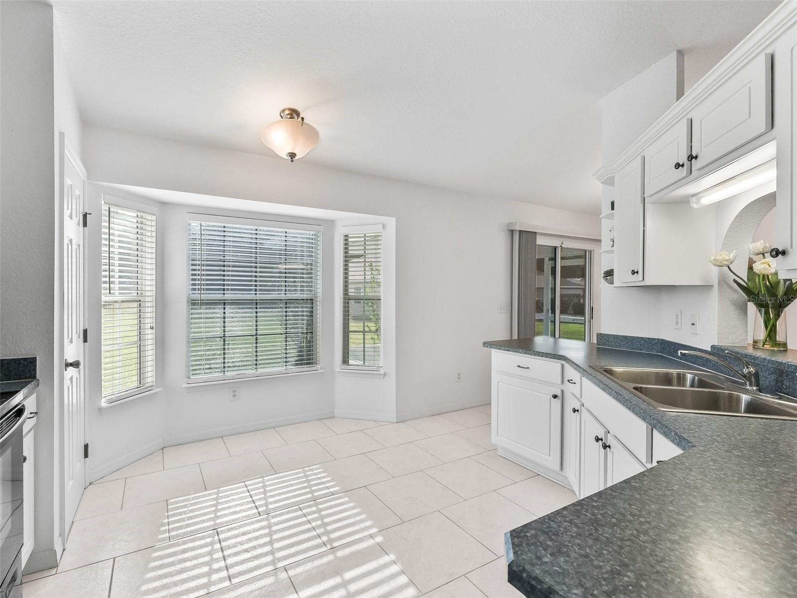 17536 SE 121ST CIR, SUMMERFIELD, FL, 34491