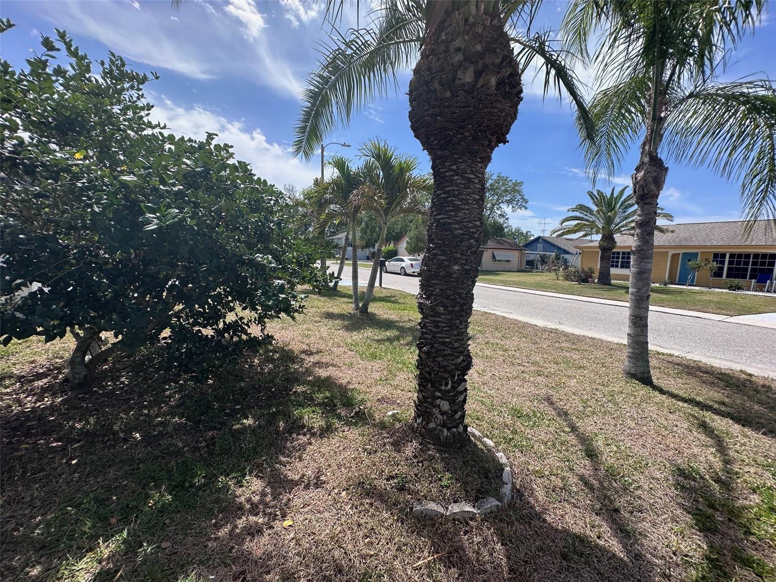 3542 DELTA PL, HOLIDAY, FL, 34691