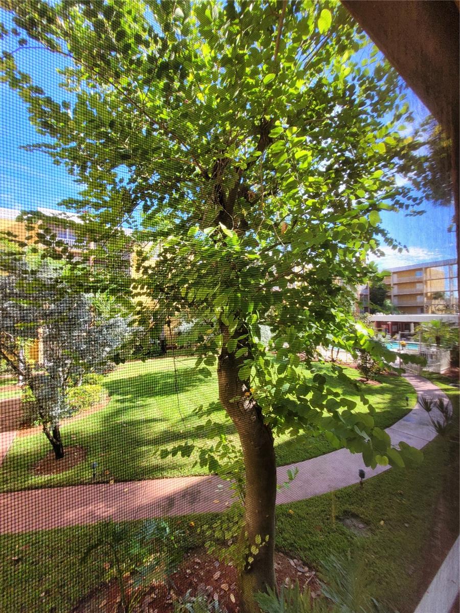 2366 E MALL DR #208, FORT MYERS, FL, 33901