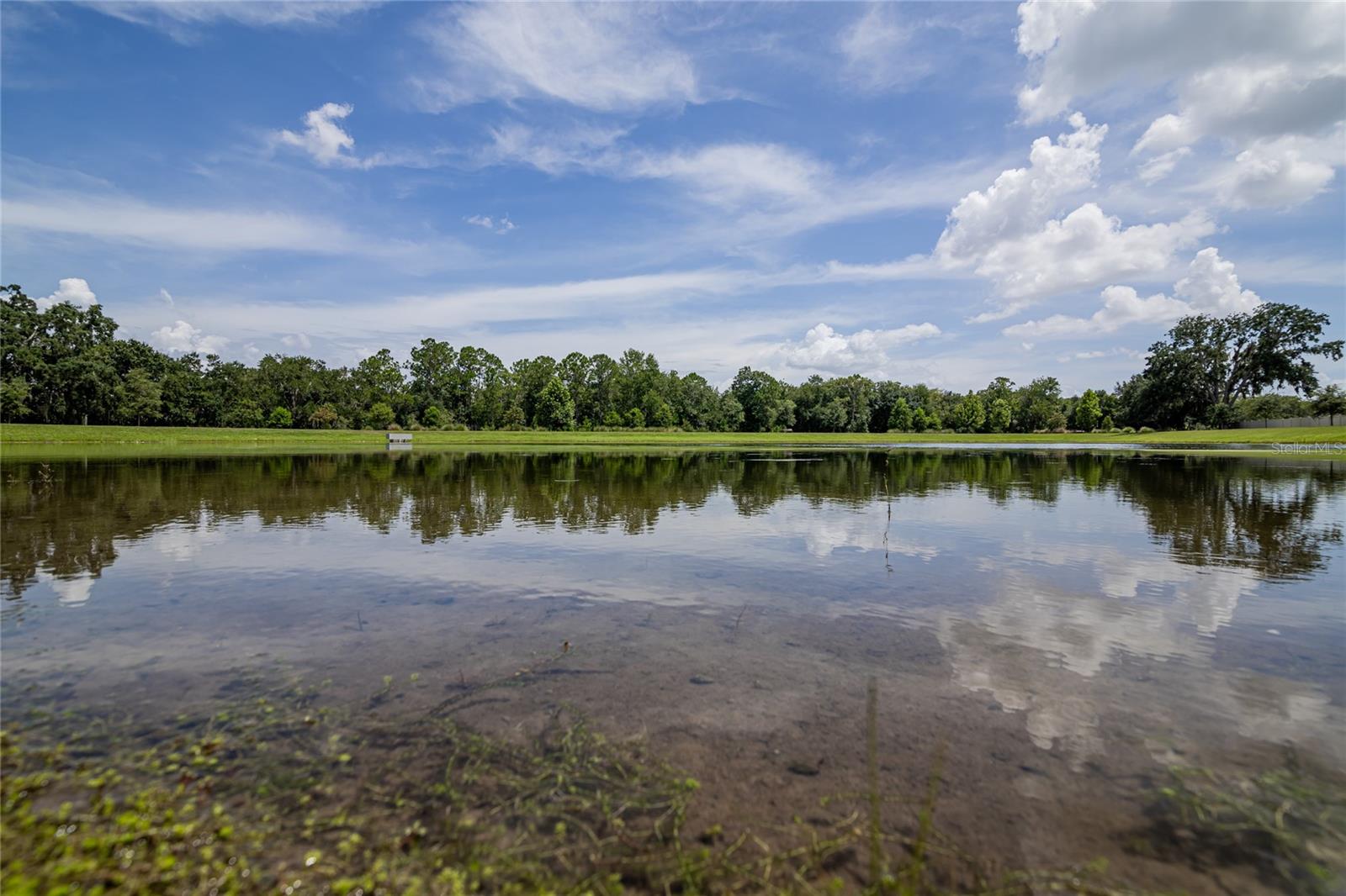 12435 BOWES BRANCH RD, ORLANDO, FL, 32824