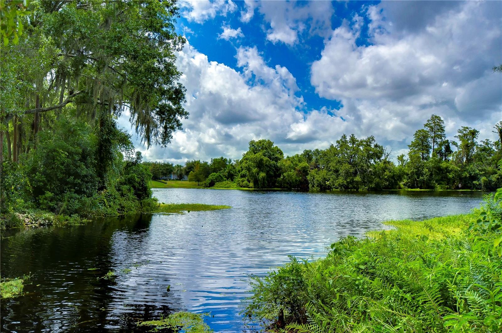 6801 LOCKINGTON CT, TAMPA, FL, 33625