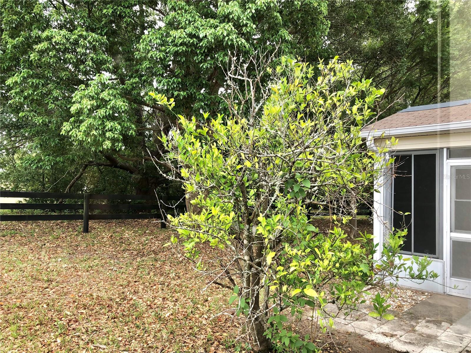 307 SANTA CLARA CIR, LADY LAKE, FL, 32159