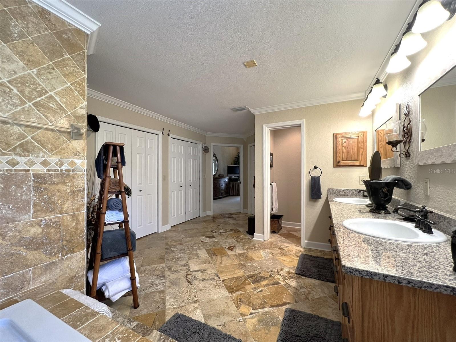 6805 MONET CIR, TEMPLE TERRACE, FL, 33617