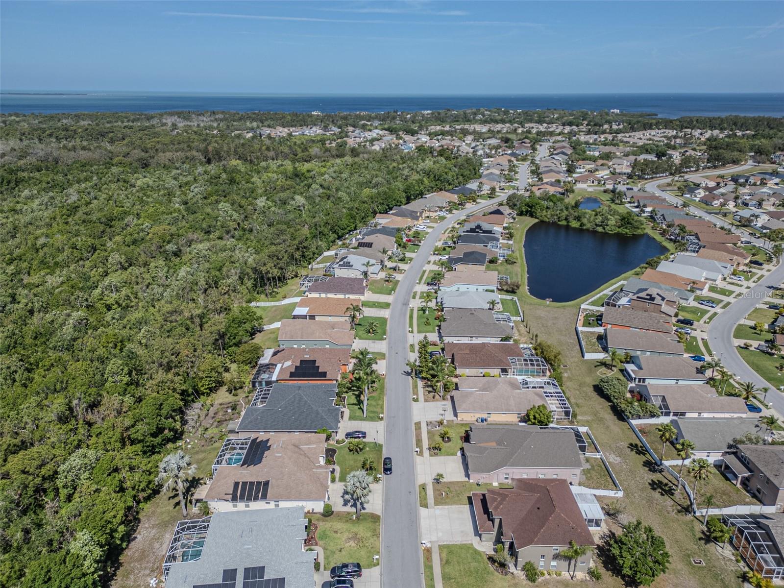 2310 WOOD POINTE DR, HOLIDAY, FL, 34691