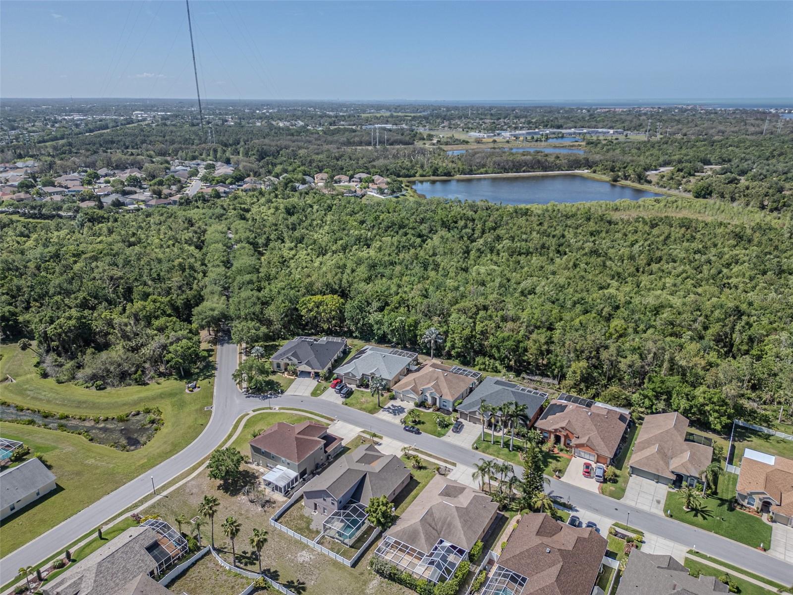 2310 WOOD POINTE DR, HOLIDAY, FL, 34691