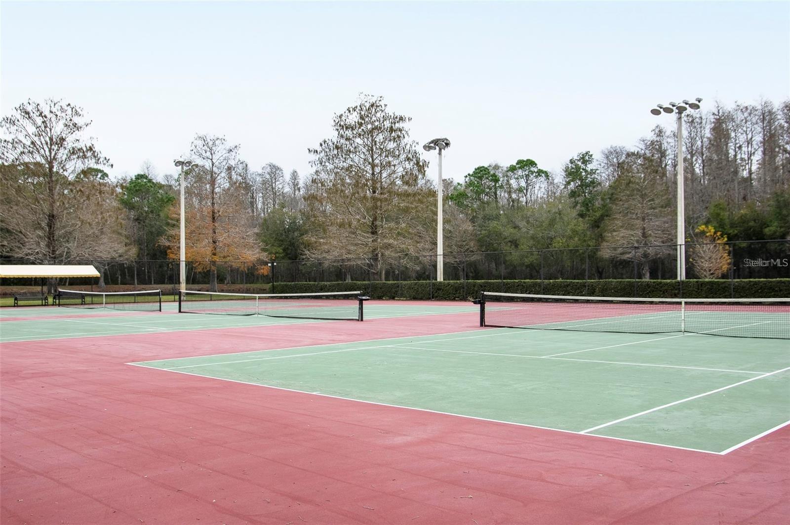 4117 DAVENTRY LN, PALM HARBOR, FL, 34685