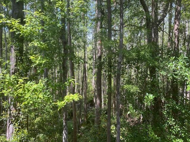 4117 DAVENTRY LN, PALM HARBOR, FL, 34685