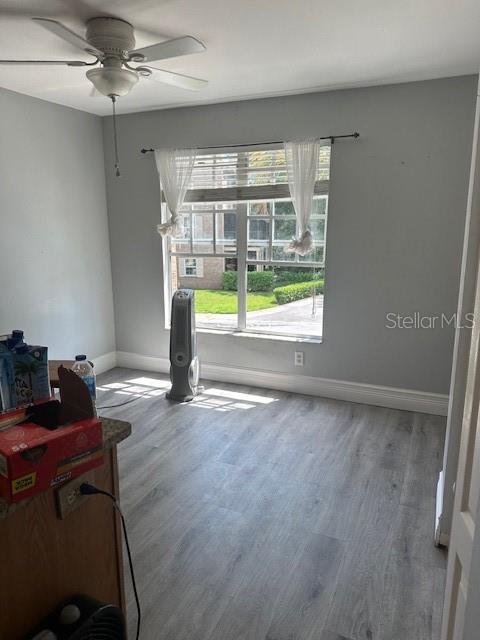 4117 DAVENTRY LN, PALM HARBOR, FL, 34685