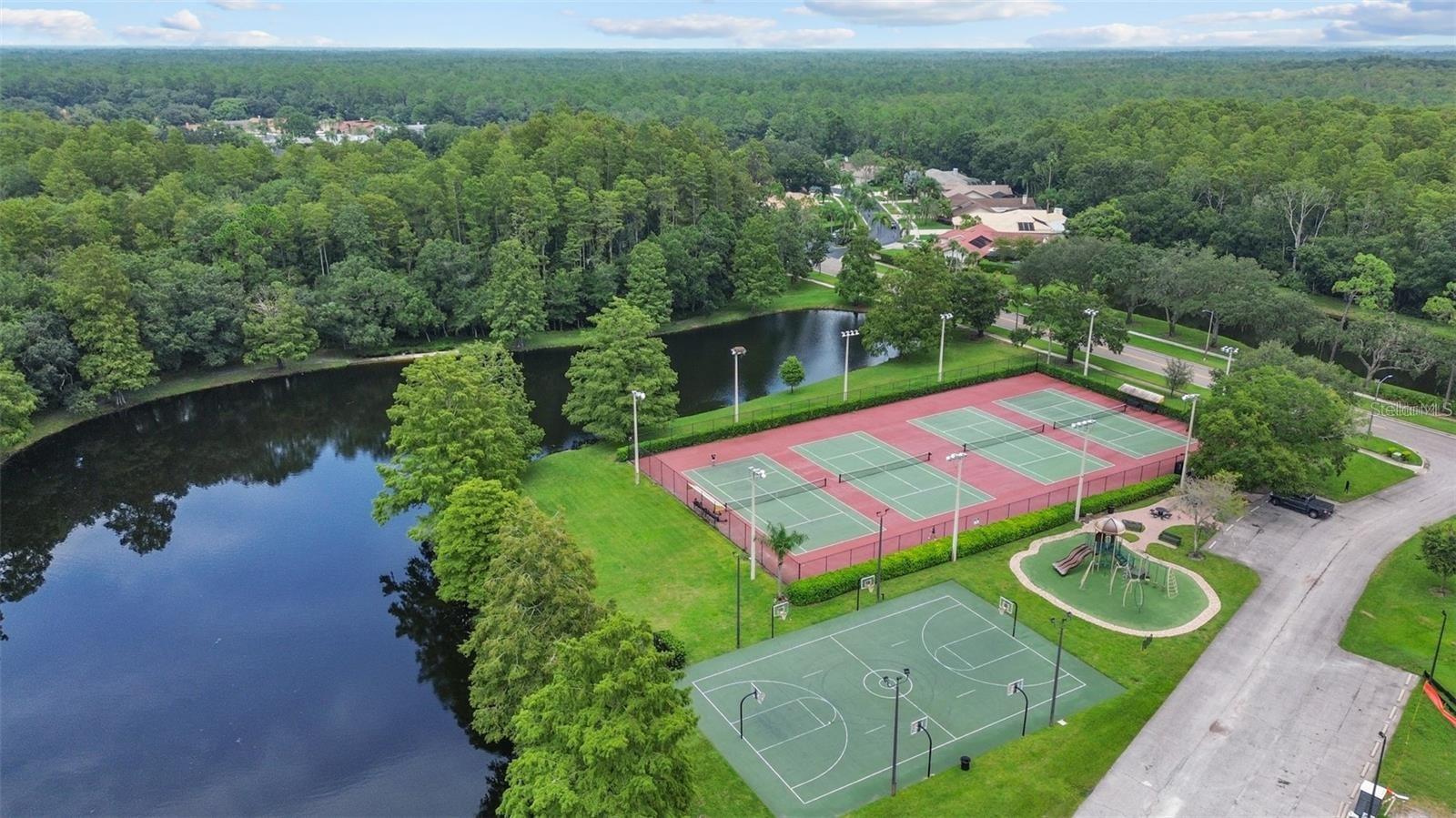 4117 DAVENTRY LN, PALM HARBOR, FL, 34685