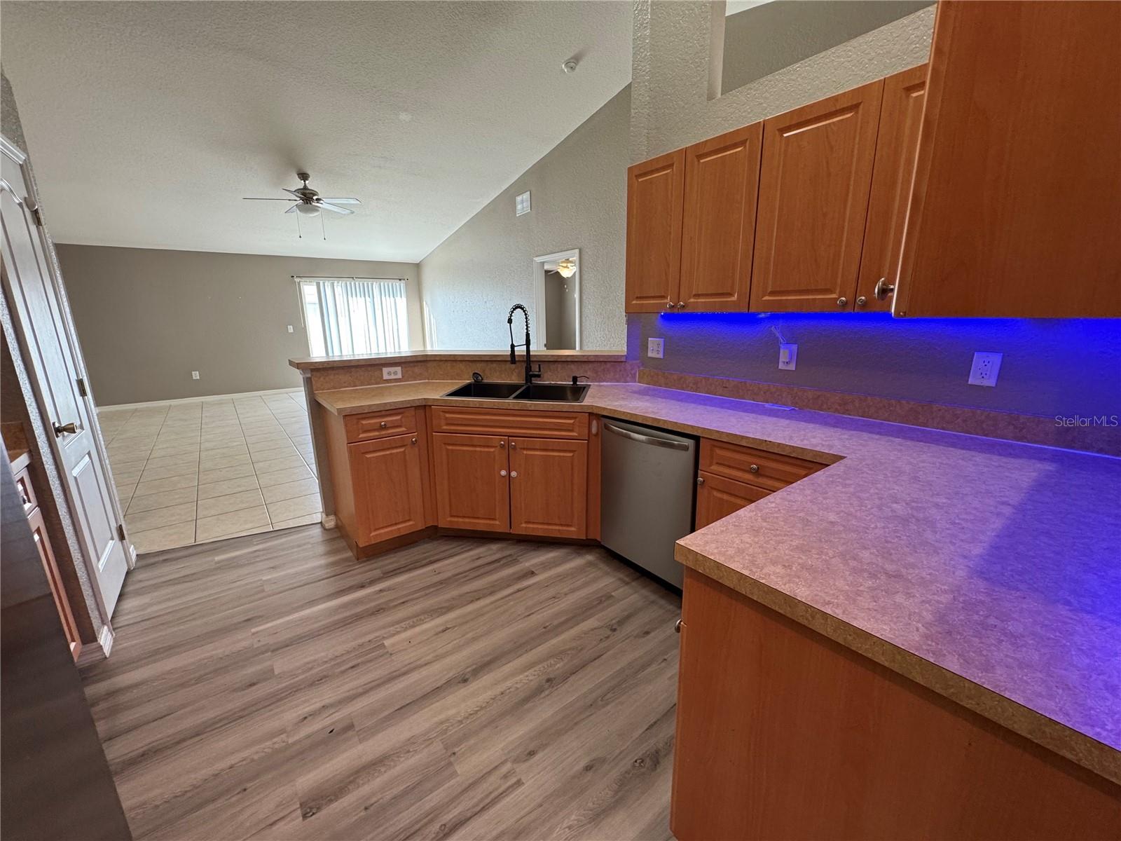 403 BIG BLACK PL, KISSIMMEE, FL, 34759