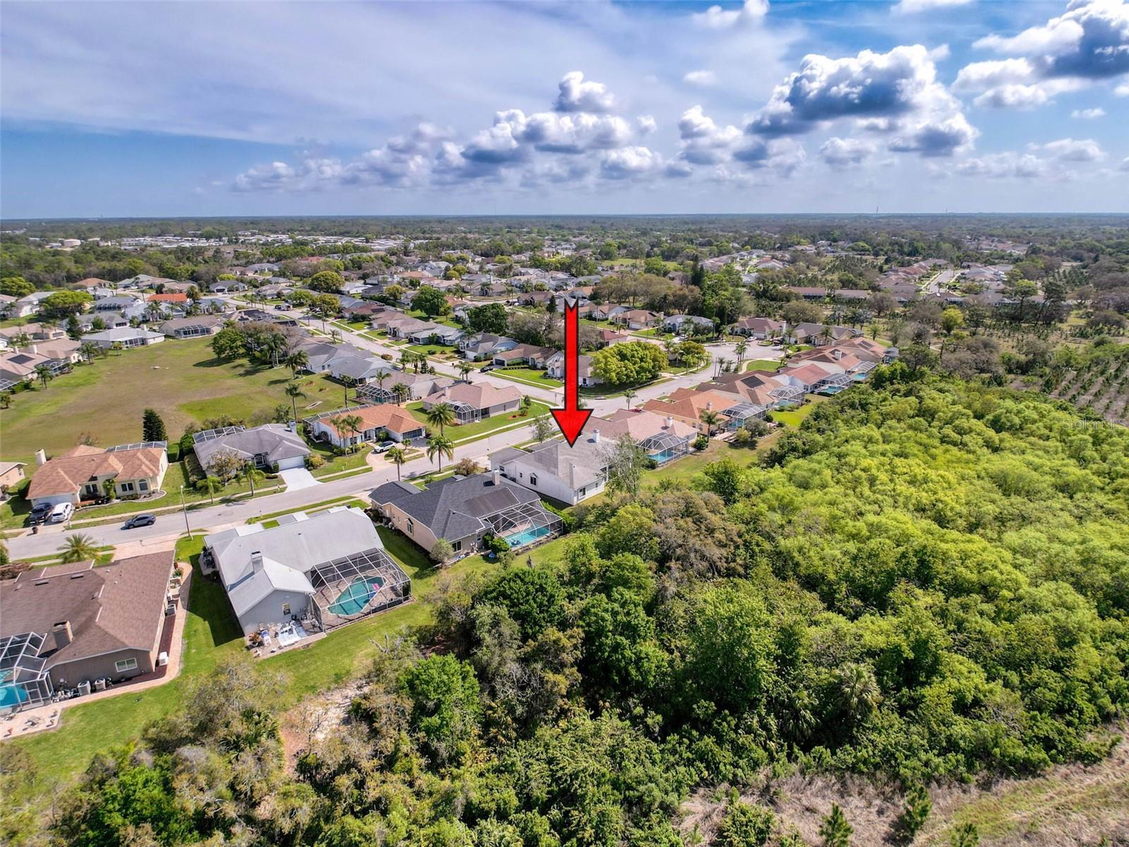 8606 CORAL CREEK LOOP, HUDSON, FL, 34667