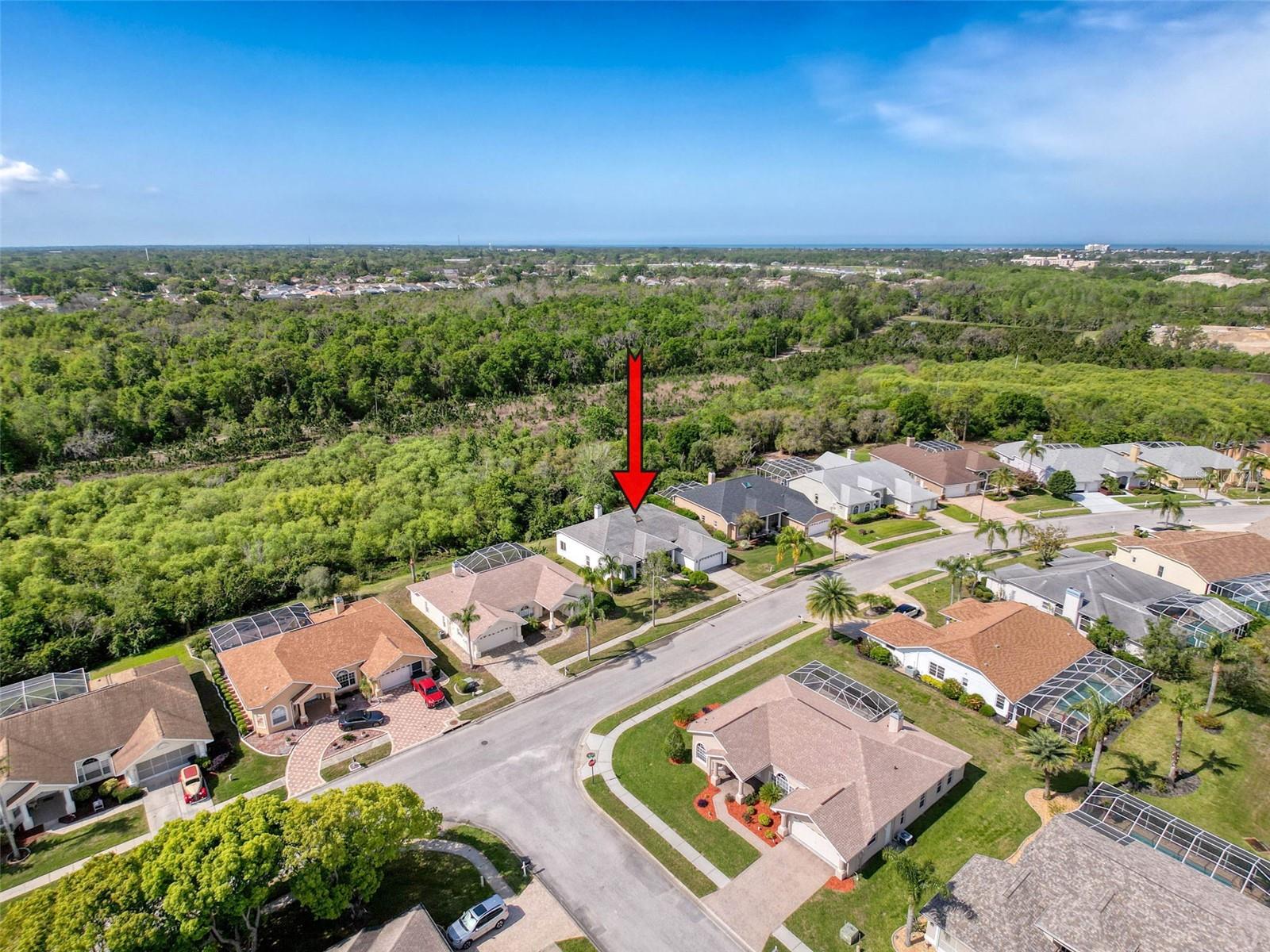 8606 CORAL CREEK LOOP, HUDSON, FL, 34667