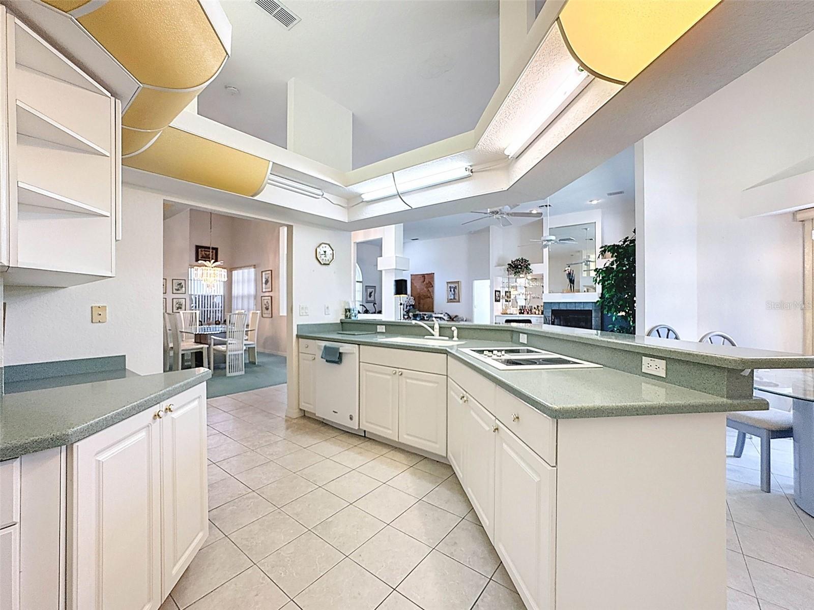 8606 CORAL CREEK LOOP, HUDSON, FL, 34667