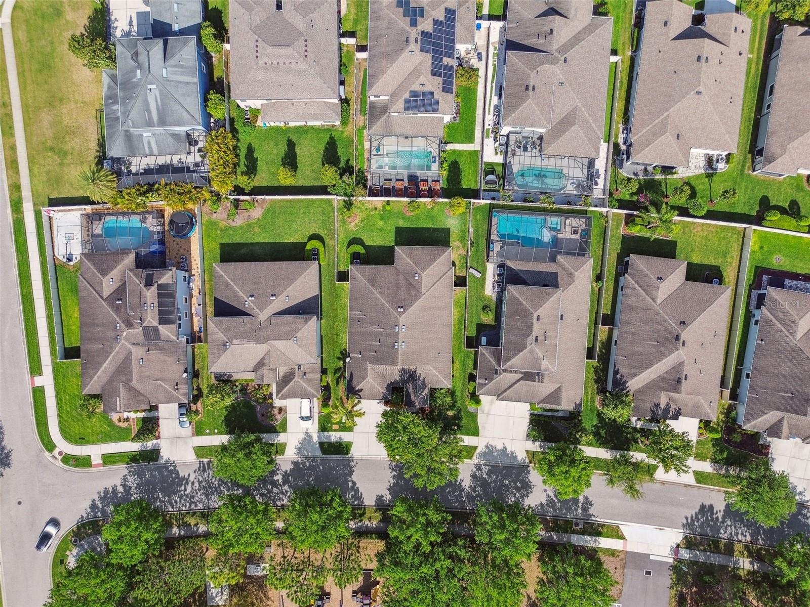 8248 SEQUESTER LOOP, LAND O LAKES, FL, 34637