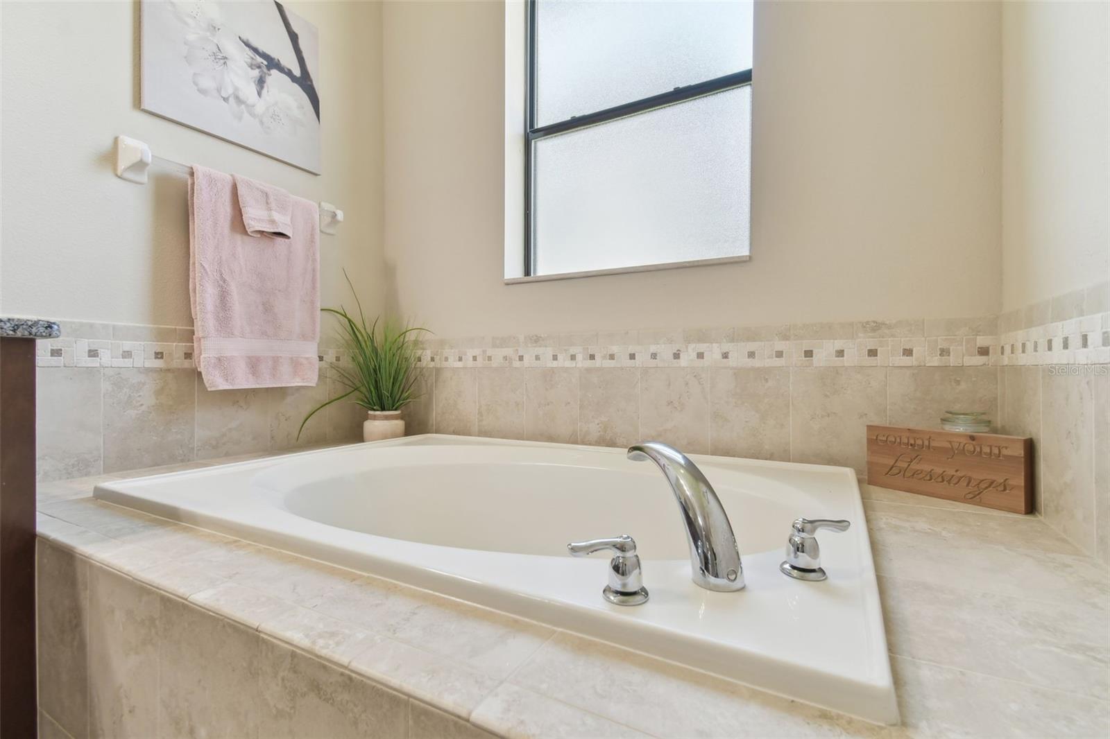 8248 SEQUESTER LOOP, LAND O LAKES, FL, 34637