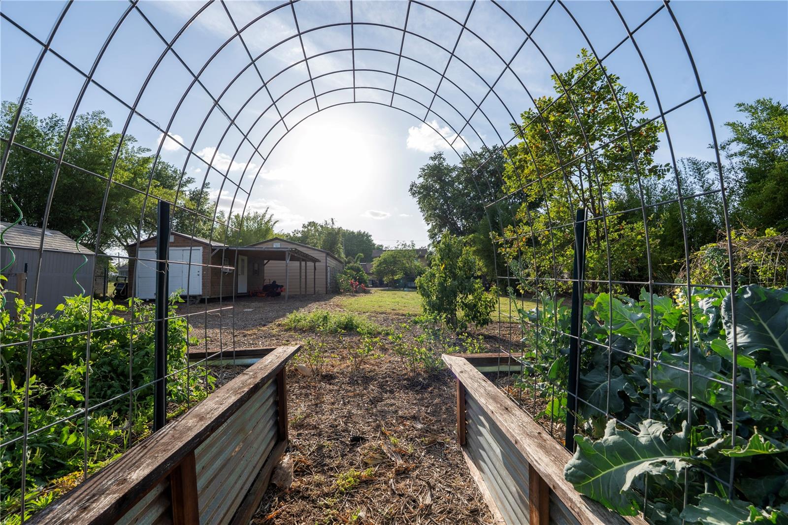 15714 TURKEY FARM RD, MINNEOLA, FL, 34715