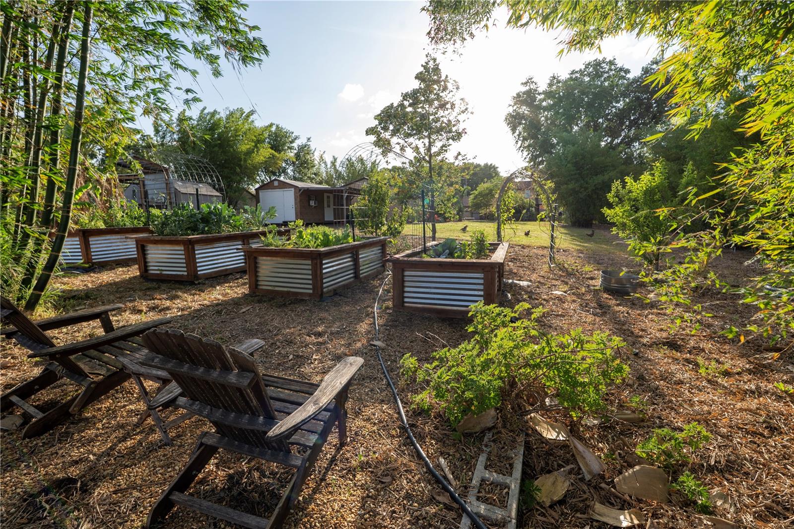 15714 TURKEY FARM RD, MINNEOLA, FL, 34715