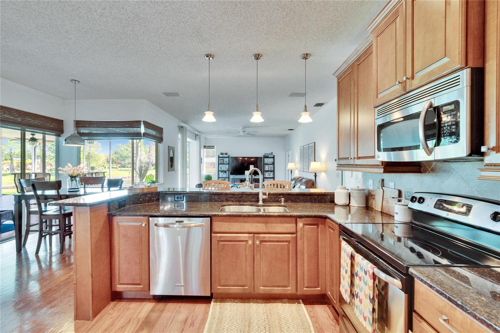 27226 SEA BREEZE WAY, WESLEY CHAPEL, FL, 33544