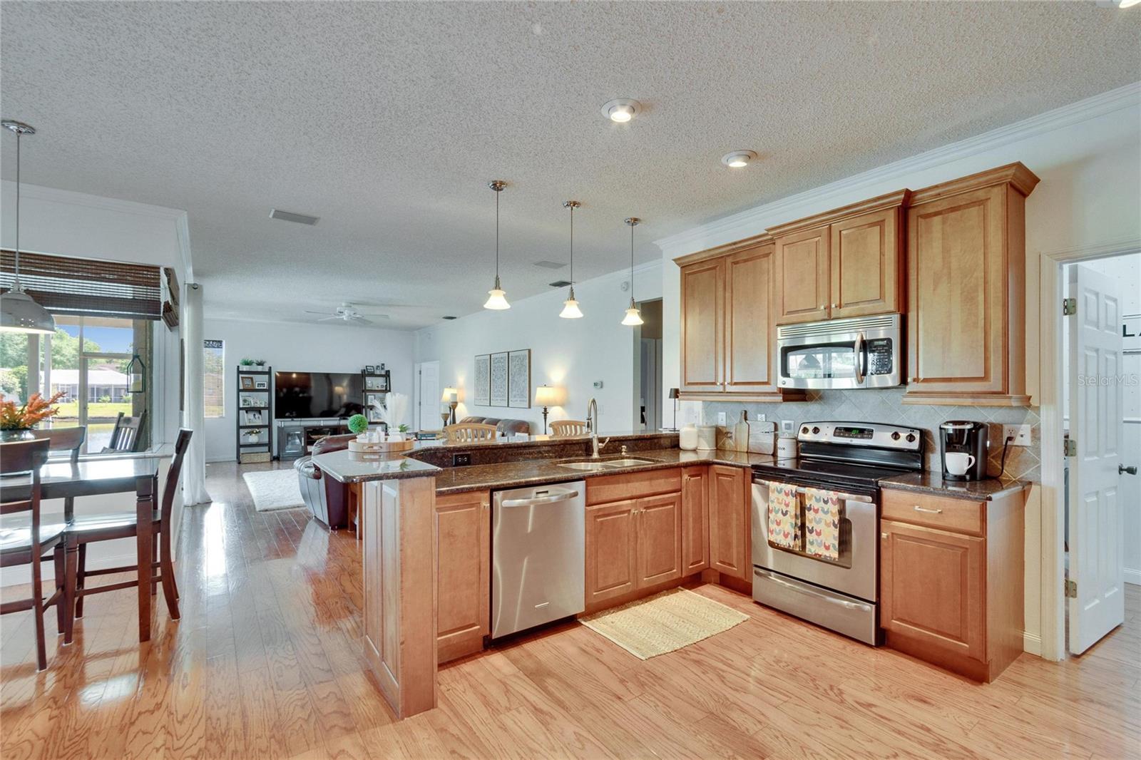 27226 SEA BREEZE WAY, WESLEY CHAPEL, FL, 33544