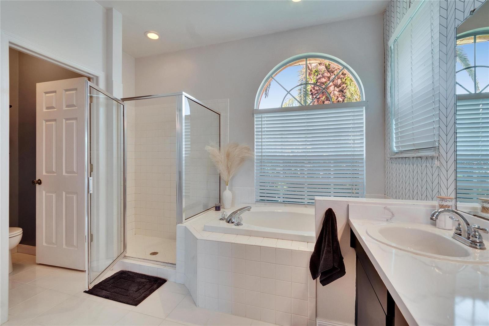 27226 SEA BREEZE WAY, WESLEY CHAPEL, FL, 33544