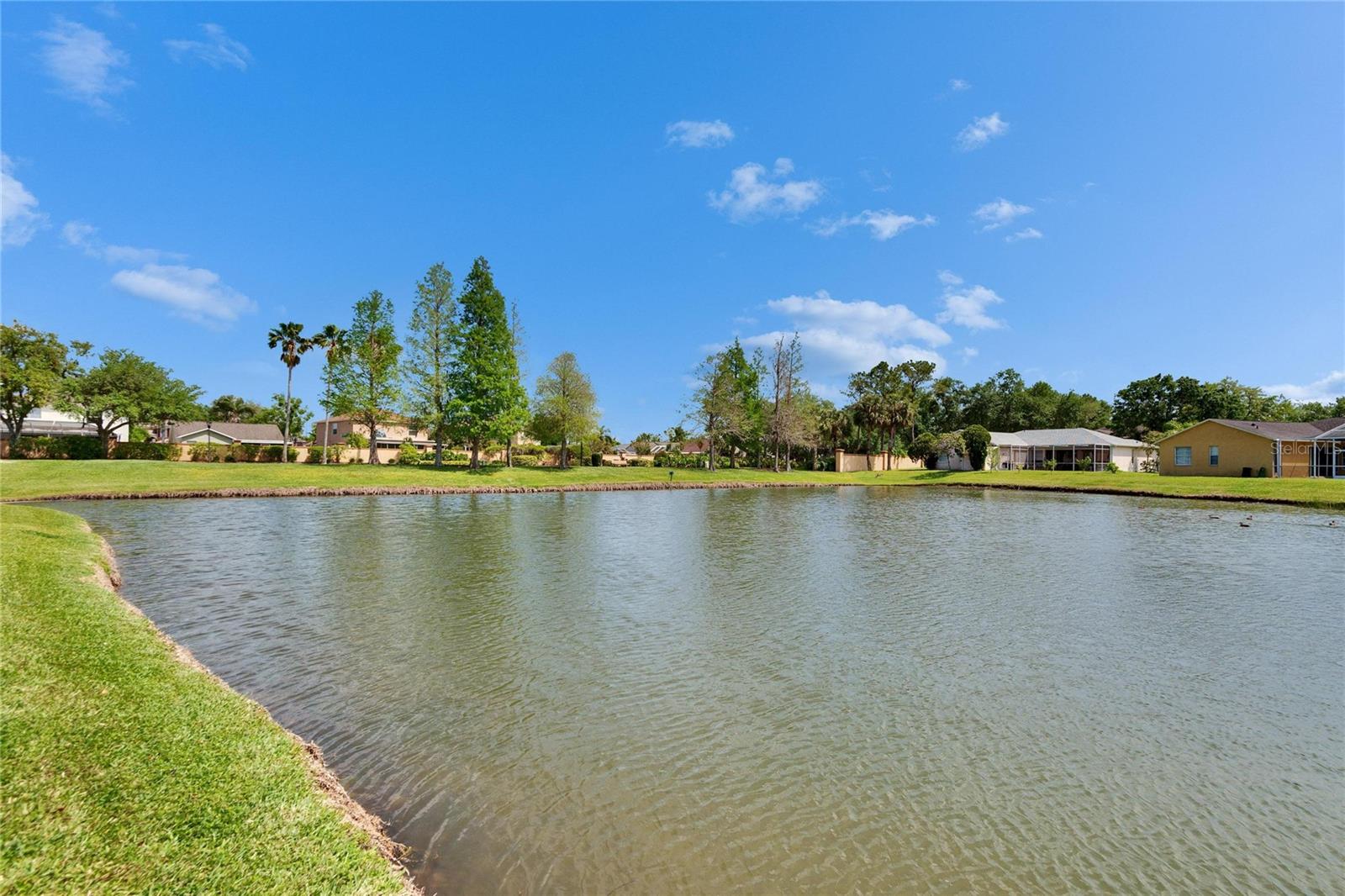 27226 SEA BREEZE WAY, WESLEY CHAPEL, FL, 33544