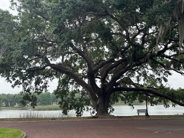 613 DANIELS AVE, ORLANDO, FL, 32801