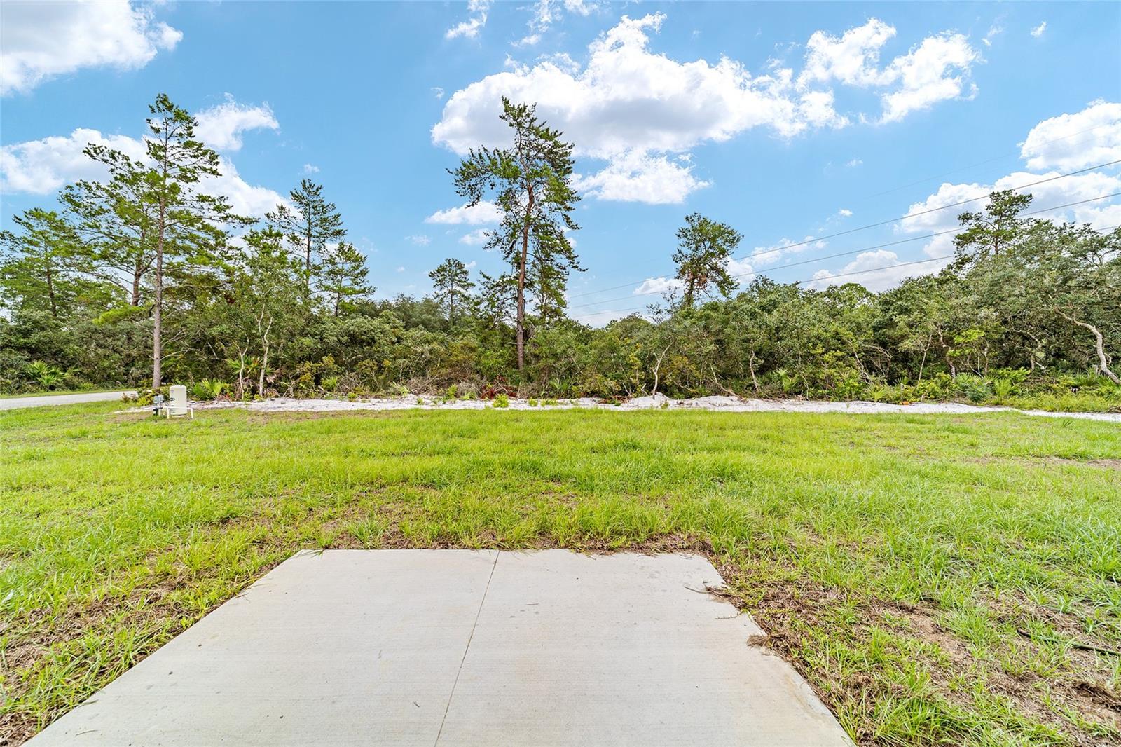 315 FISHER RD, OCKLAWAHA, FL, 32179