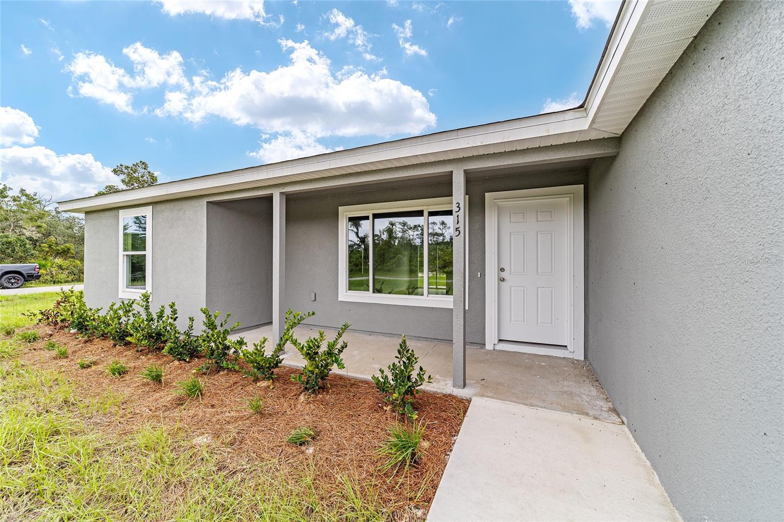 315 FISHER RD, OCKLAWAHA, FL, 32179