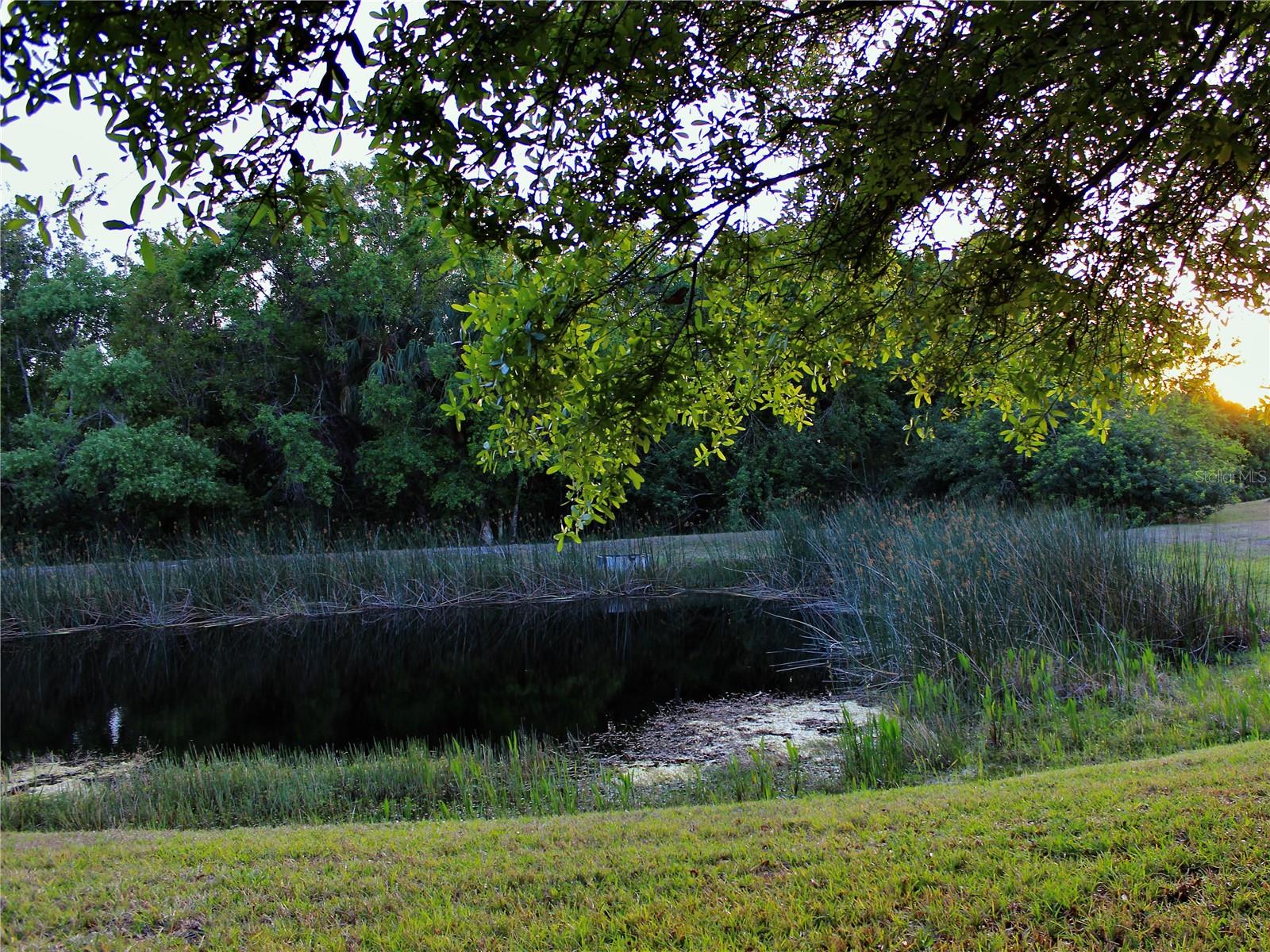 406 PETREL TRL, BRADENTON, FL, 34212
