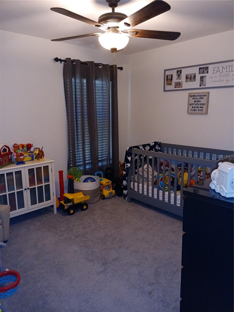 13724 WINEBERRY DRIVE, DADE CITY, FL, 33525