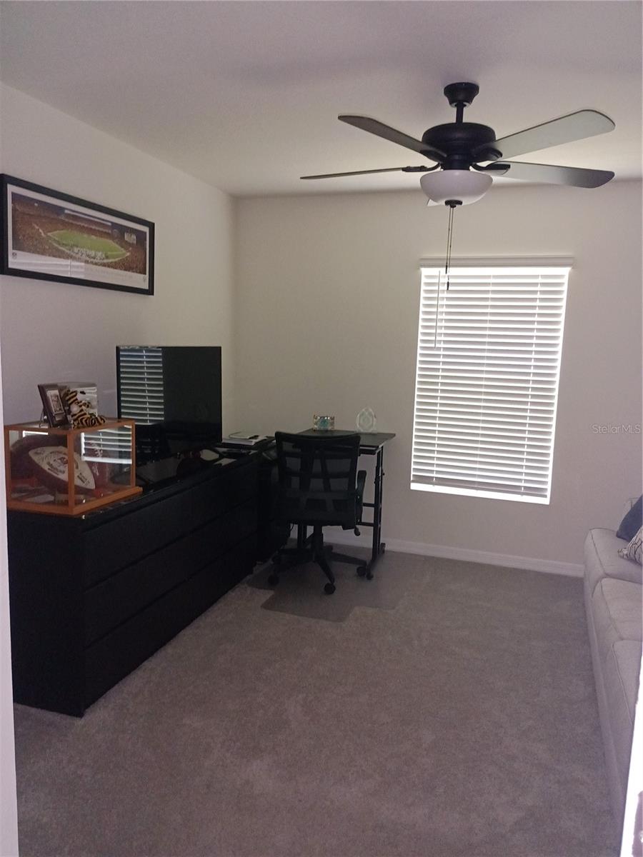 13724 WINEBERRY DRIVE, DADE CITY, FL, 33525