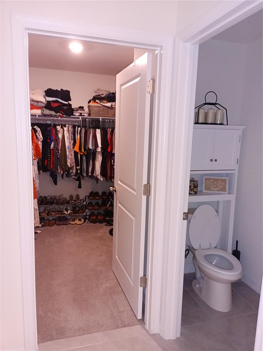 13724 WINEBERRY DRIVE, DADE CITY, FL, 33525