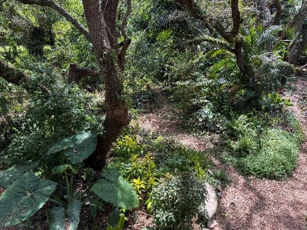 10927 N BOULEVARD, TAMPA, FL, 33612