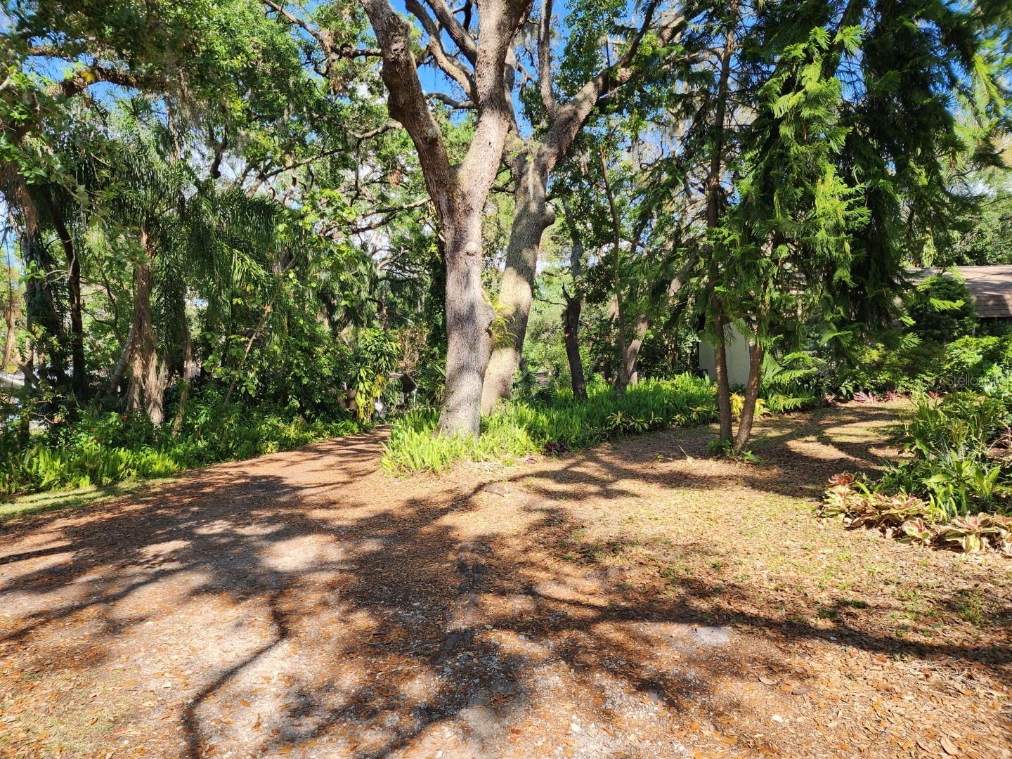 10927 N BOULEVARD, TAMPA, FL, 33612