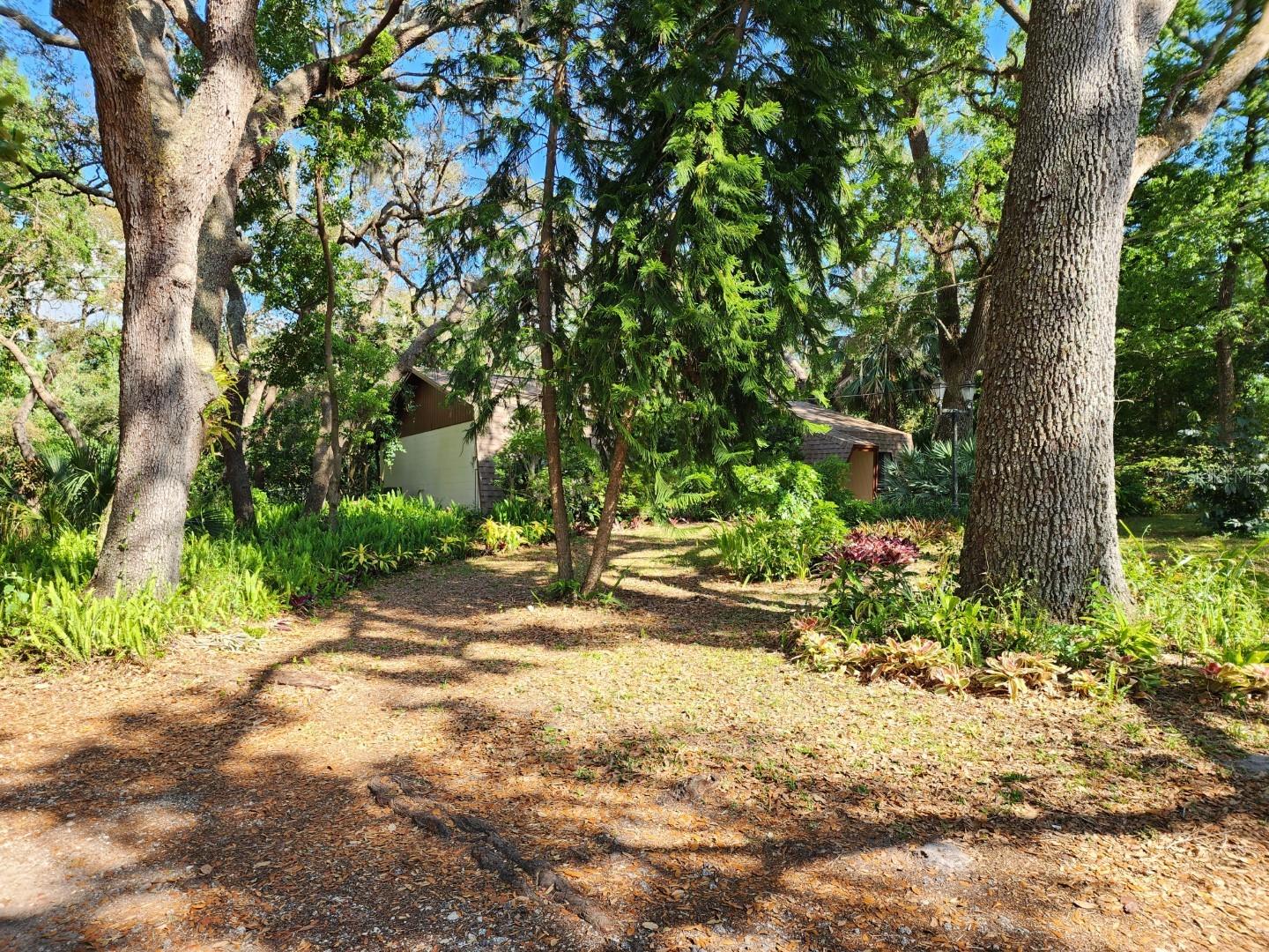 10927 N BOULEVARD, TAMPA, FL, 33612