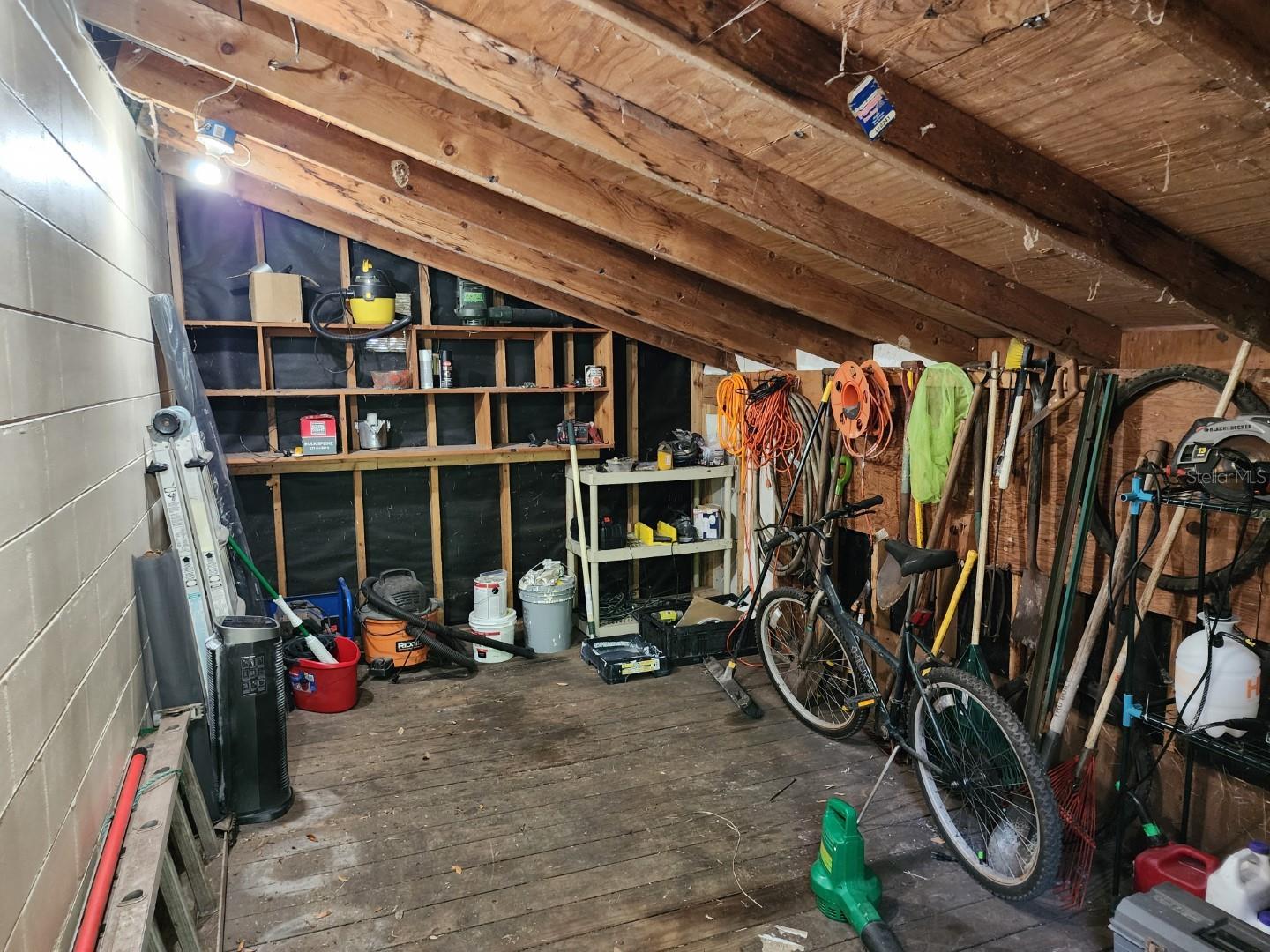 10927 N BOULEVARD, TAMPA, FL, 33612