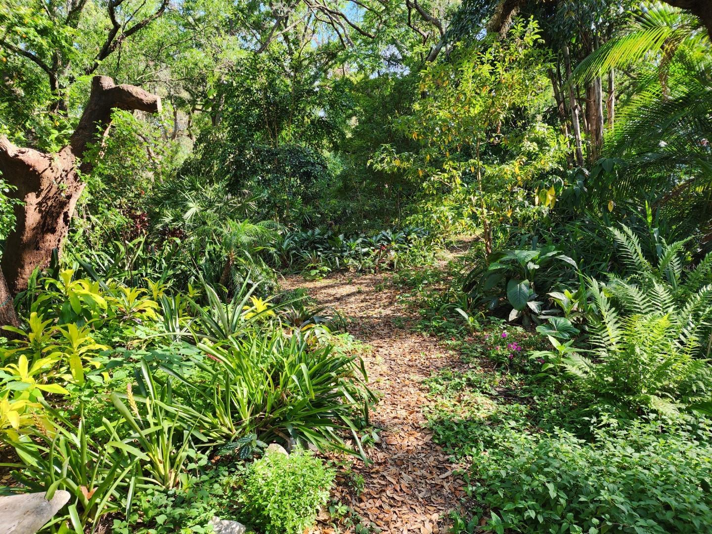 10927 N BOULEVARD, TAMPA, FL, 33612