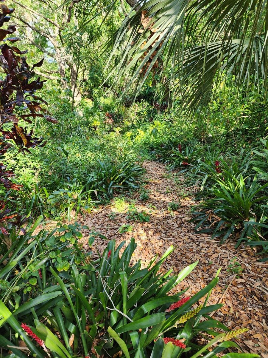 10927 N BOULEVARD, TAMPA, FL, 33612