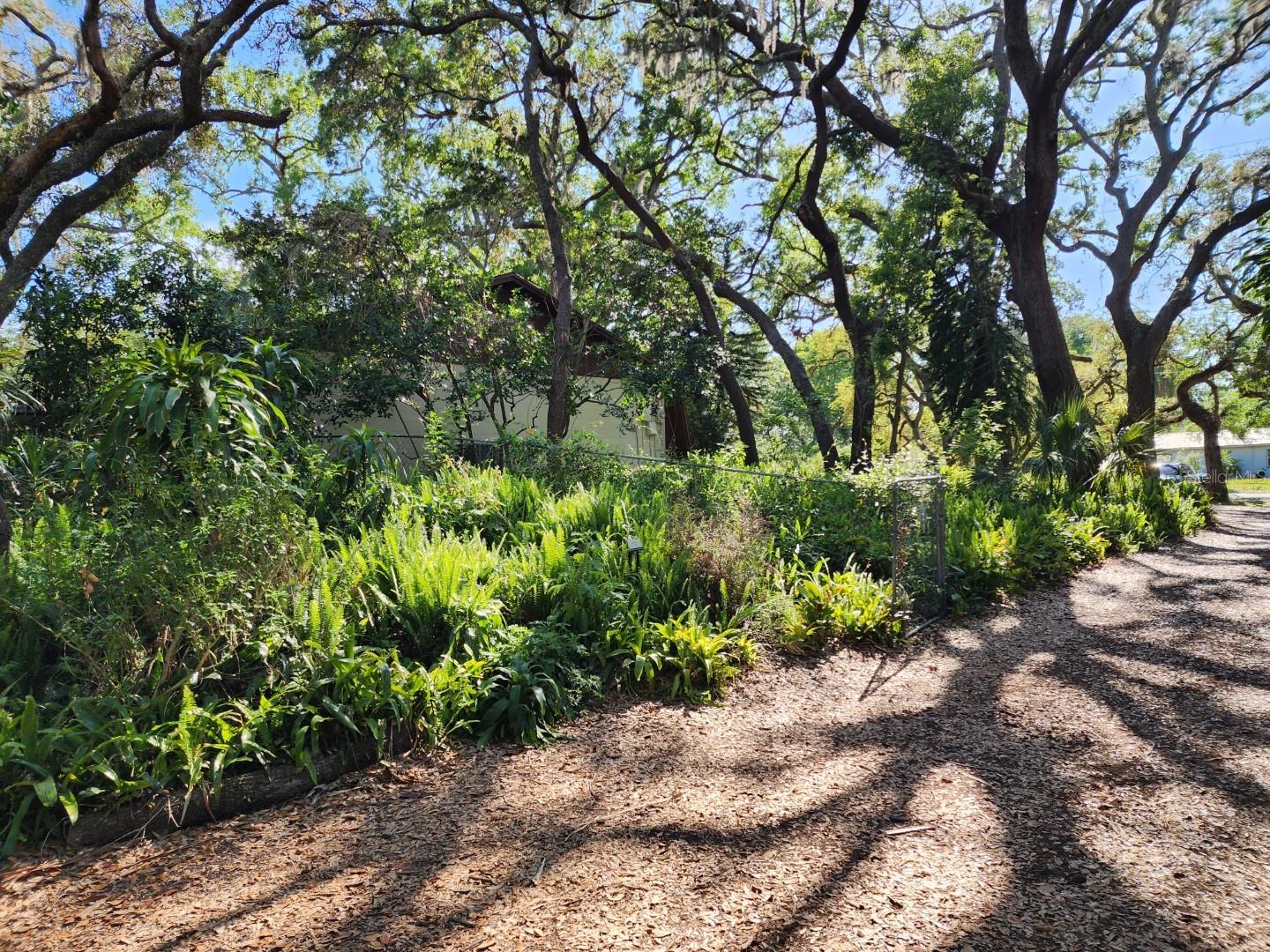 10927 N BOULEVARD, TAMPA, FL, 33612